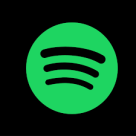 song lyrics,spotify,have you seen it