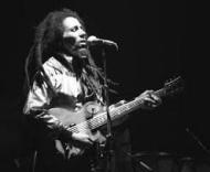 Bob Marley, change the world, importance of reggae,